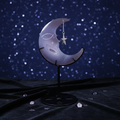 Druzy Agate Crescent Moon Decor with Star Charm and Stand